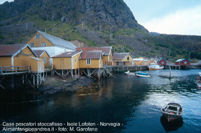 Pesca stoccafisso